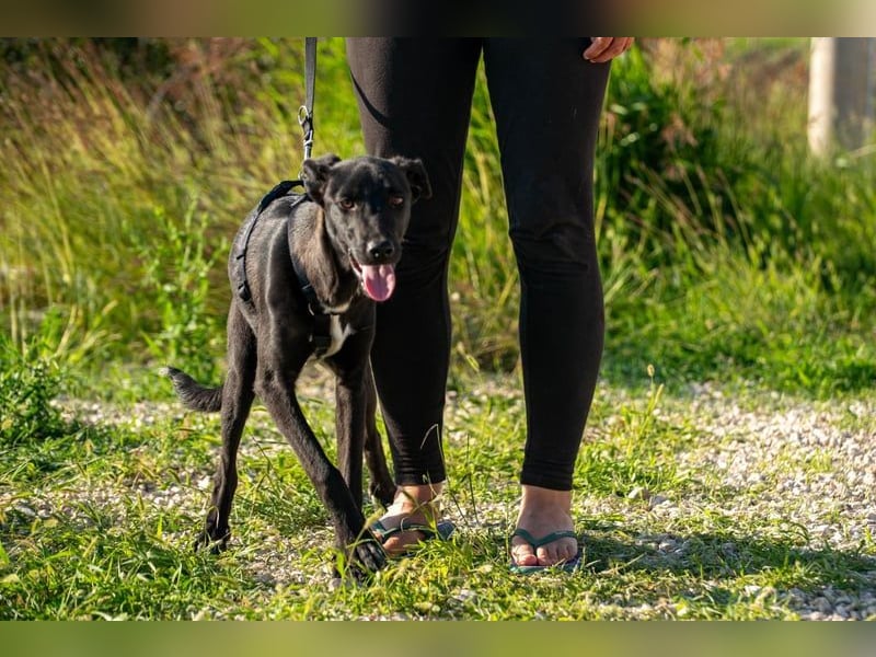 Trudi – eine Freundin fürs Leben
