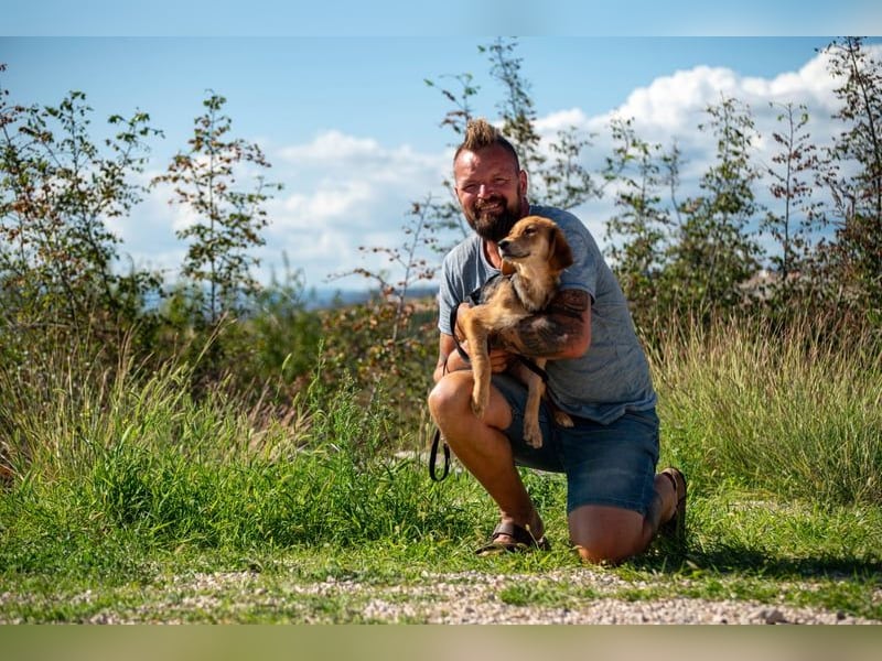 Aimi möchte Teil eurer Familie werden