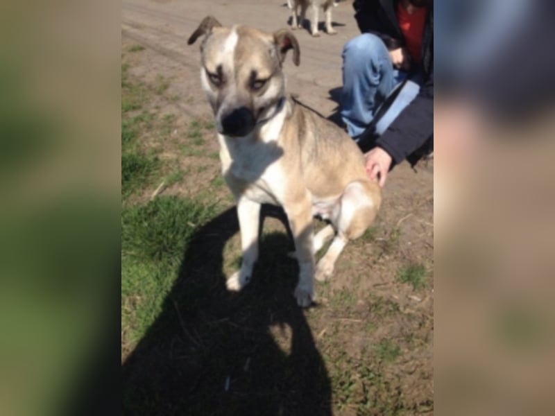 Felix sucht ein neues Zuhause 