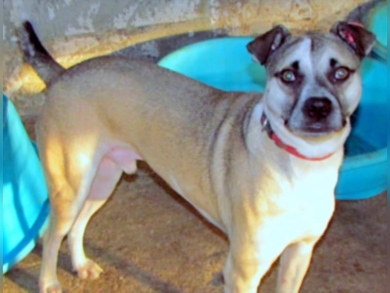 Felix sucht ein neues Zuhause 