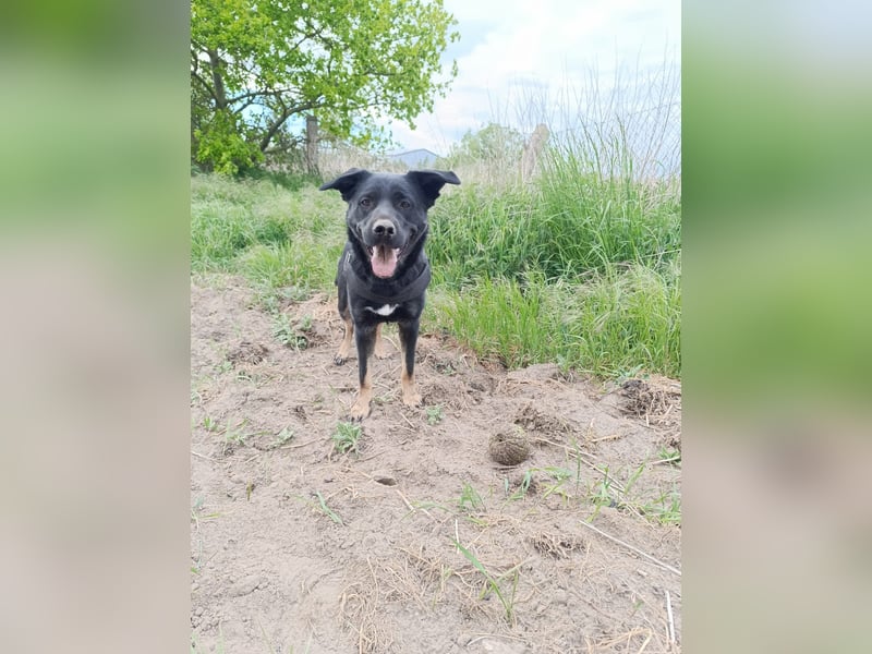Cora sucht Lebensaufgabe: Großer Hof gesucht
