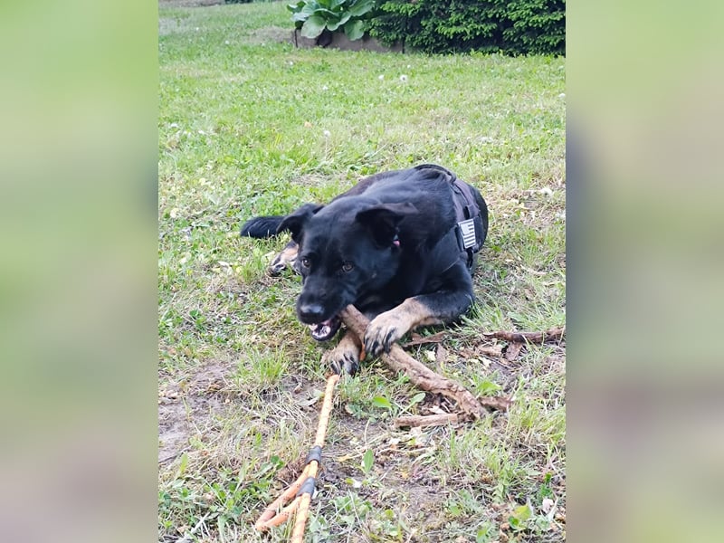 Cora sucht Lebensaufgabe: Großer Hof gesucht
