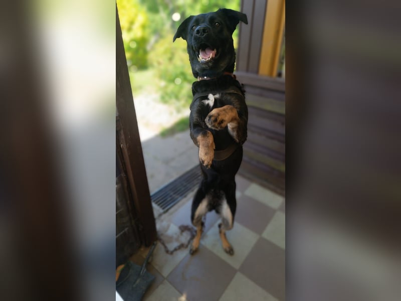 Cora sucht Lebensaufgabe: Großer Hof gesucht