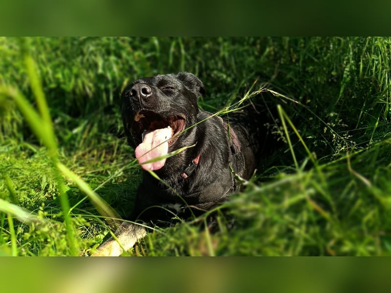 Cora sucht Lebensaufgabe: Großer Hof gesucht