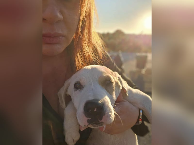 Ingrid, Welpenmädchen sucht ihr Glück