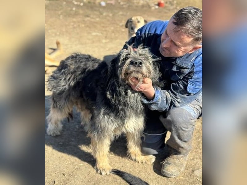 Einzelprinz Oliver will geliebt werden