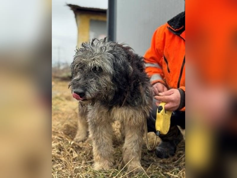 Einzelprinz Oliver will geliebt werden