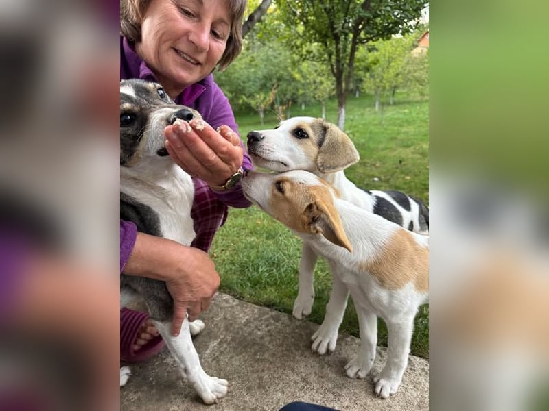 Hundekind Mariella hofft auf einen Neustart