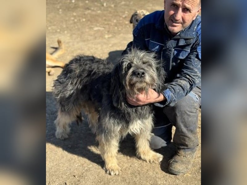 Einzelprinz Oliver will geliebt werden