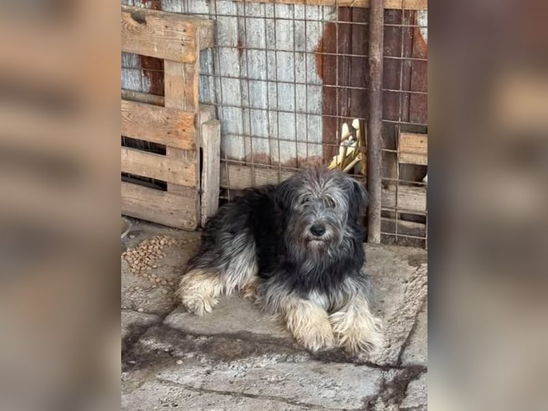 Einzelprinz Oliver will geliebt werden