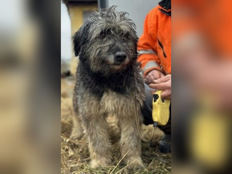 Einzelprinz Oliver will geliebt werden