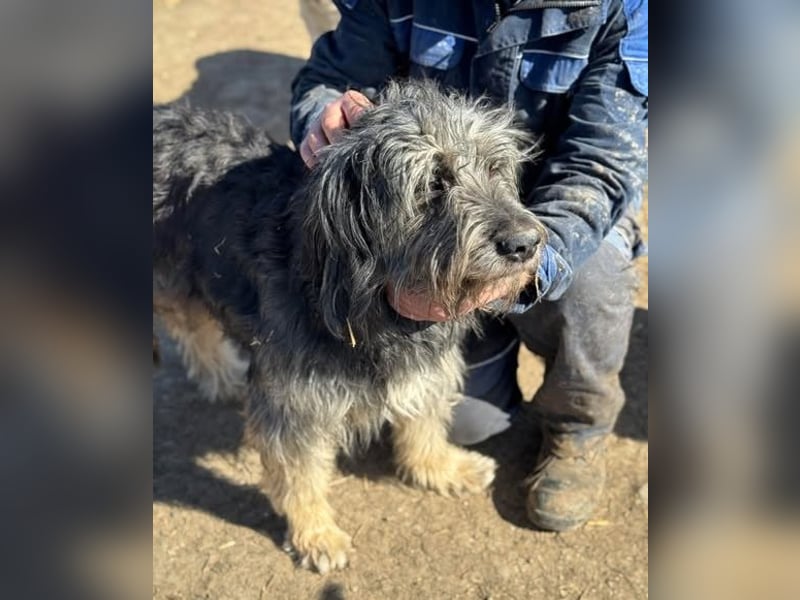 Einzelprinz Oliver will geliebt werden