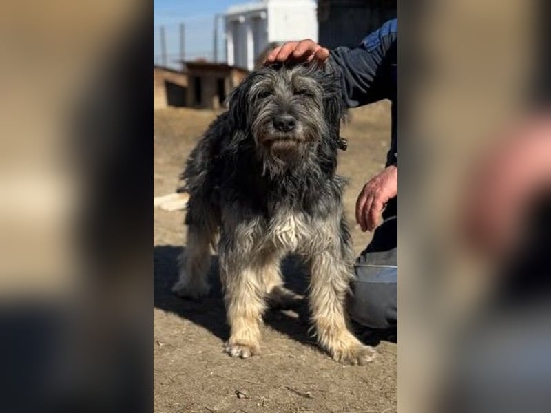 Einzelprinz Oliver will geliebt werden