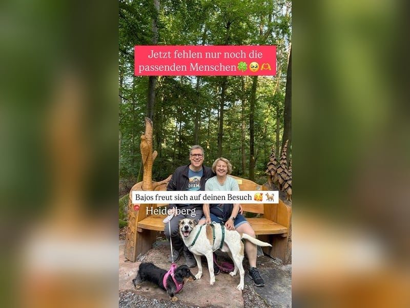 Bajos hat ein tolles Zuhause verdient