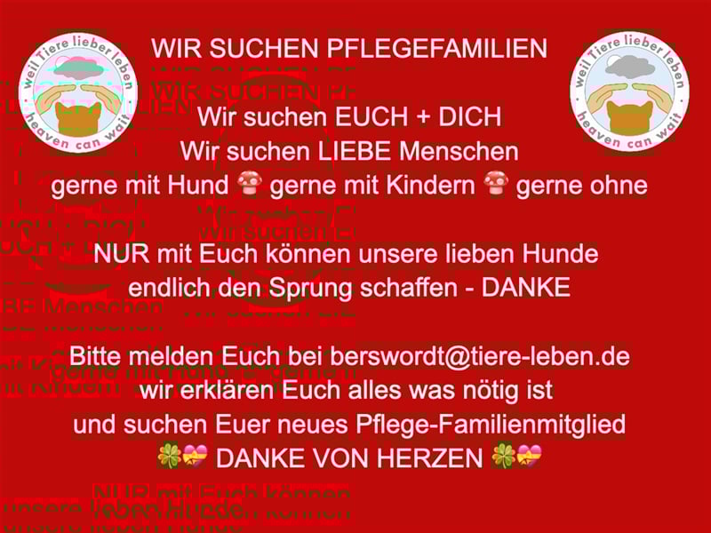 WIR SUCHEN PFLEGEFAMILIEN