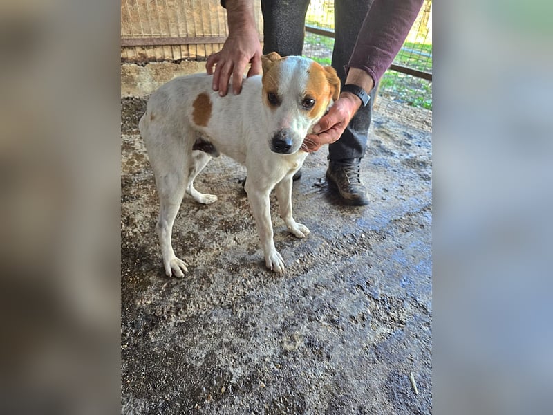 Luca, lieb und ruhig