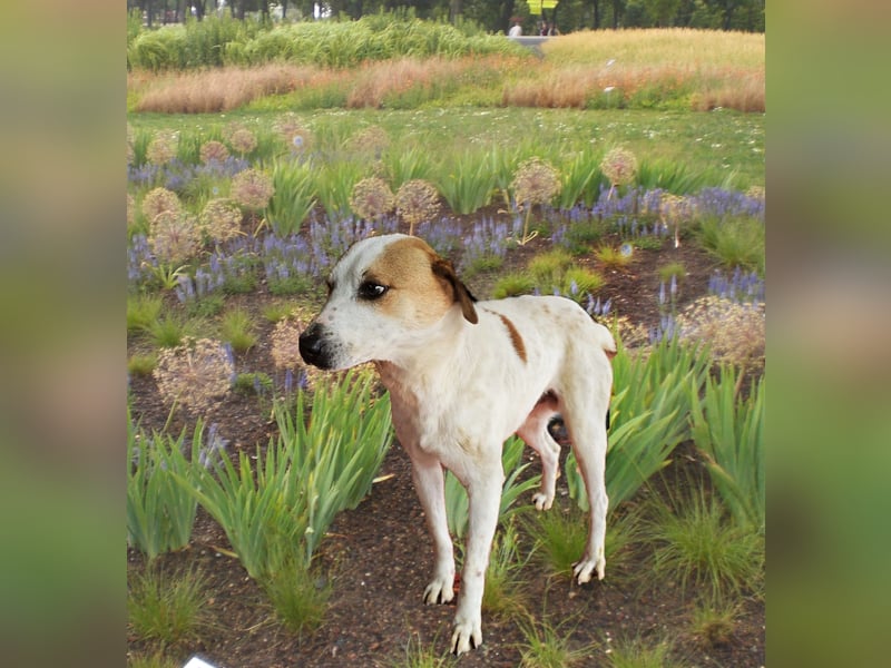 Luca, lieb und ruhig