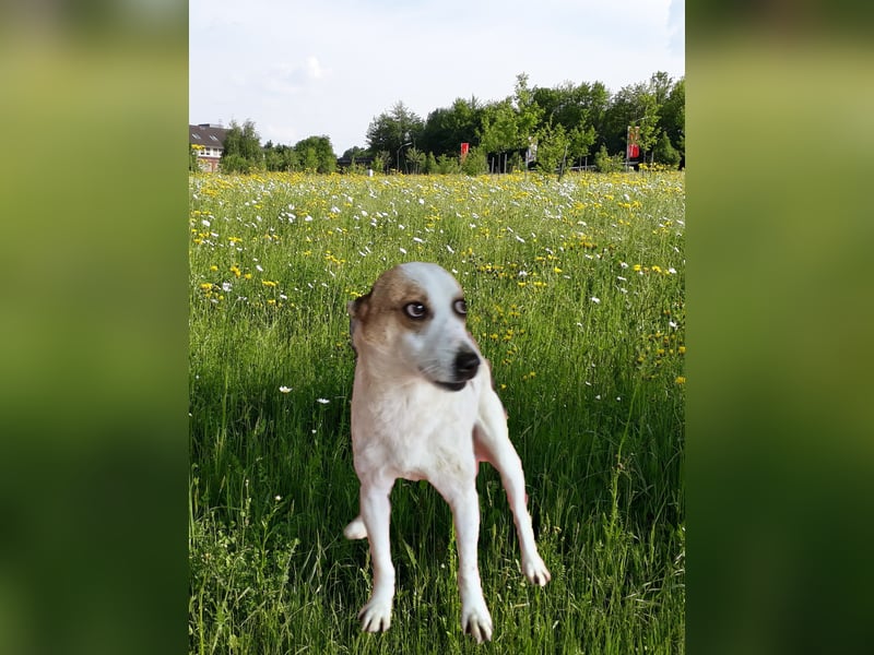 Luca, lieb und ruhig