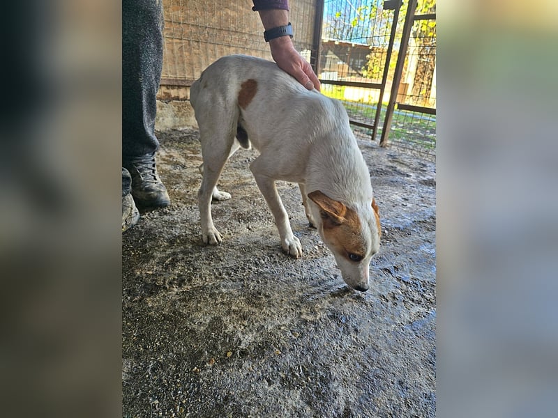 Luca, lieb und ruhig