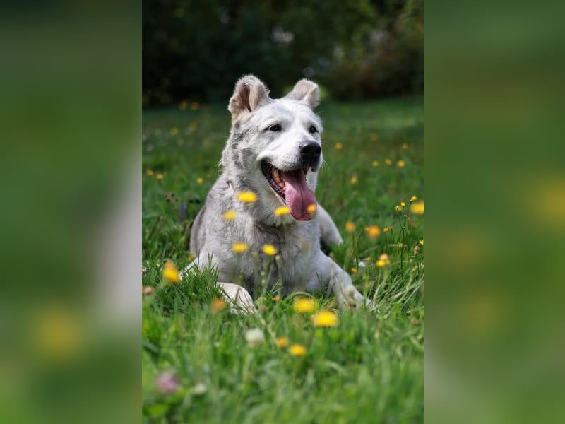 Wunderbare Hilda sucht Trauzuhause