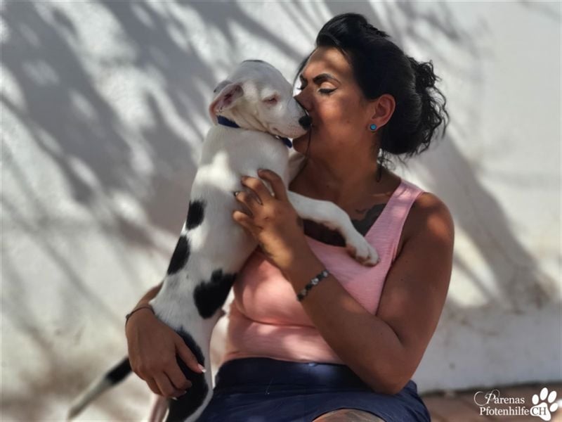 Simon ist ein toller, freundlicher Mischling