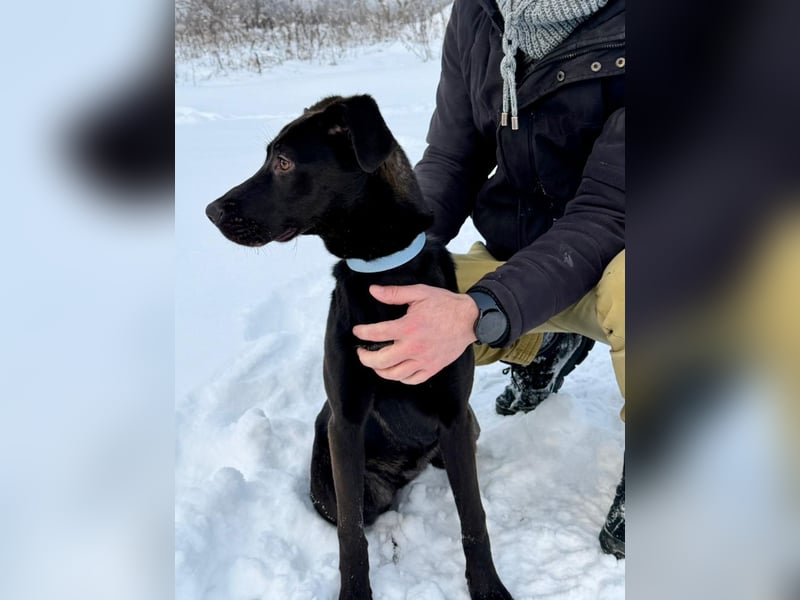 Junges Energiebündel Cinka sich Menschen, die ihr Beschäftigung. bieten !