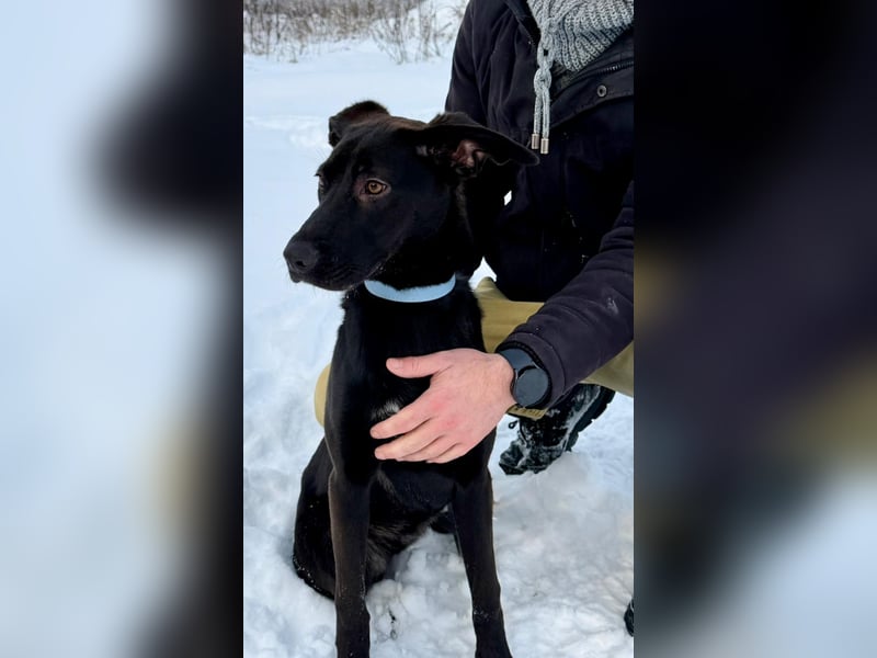 Junges Energiebündel Cinka sich Menschen, die ihr Beschäftigung. bieten !