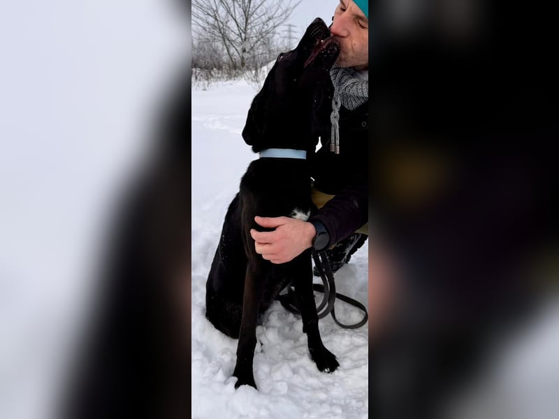 Junges Energiebündel Cinka sich Menschen, die ihr Beschäftigung. bieten !