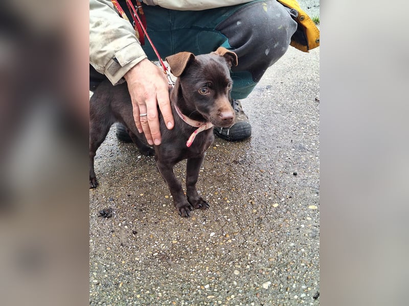 Der liebe Finn ist voller Lebensfreude !