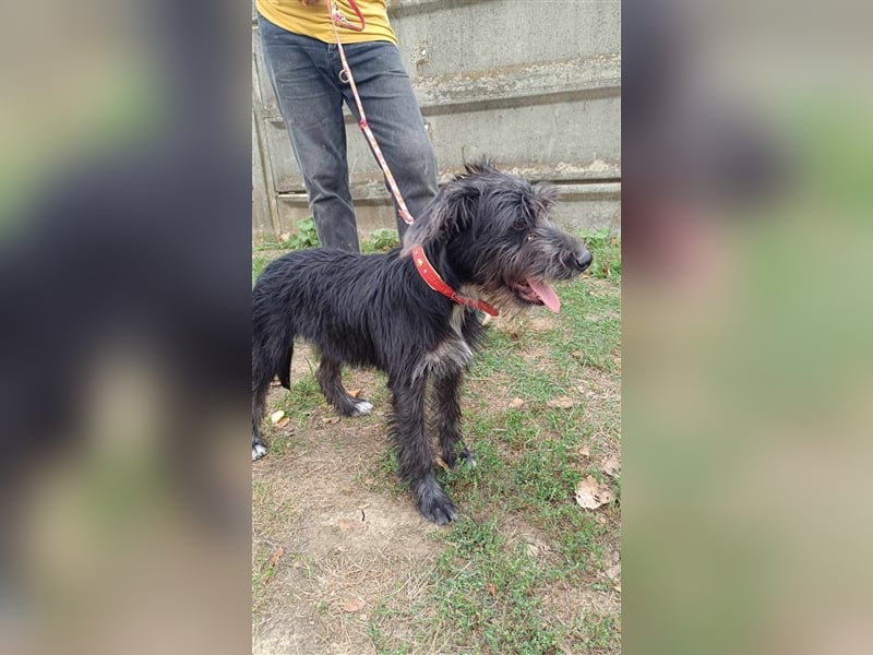 Der liebe Fernando sucht seine Familie !