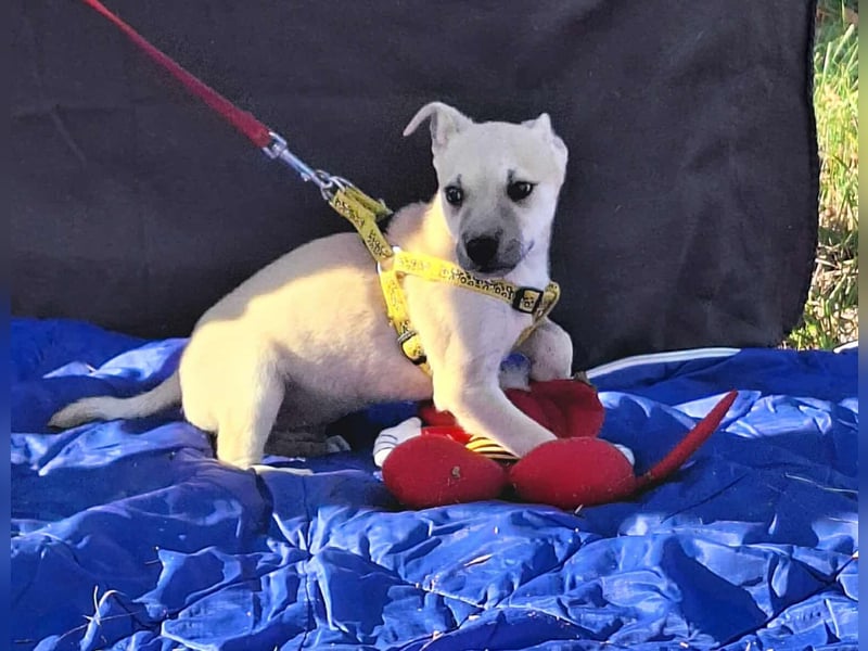 Paolo steckt voller Lebensfreude !