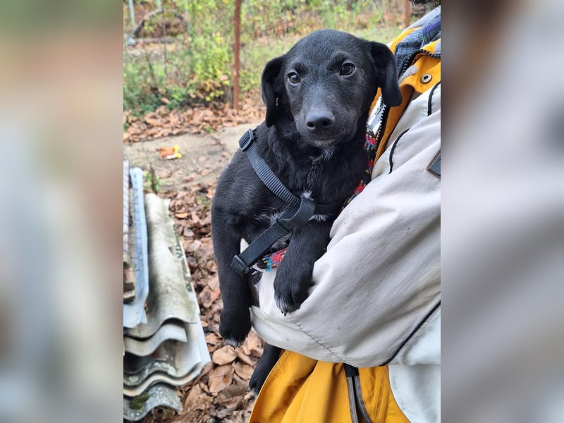 Die liebe Yoko ist voller Lebensfreude !