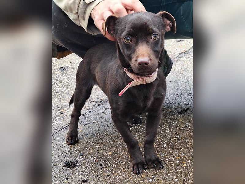 Der liebe Finn ist voller Lebensfreude !