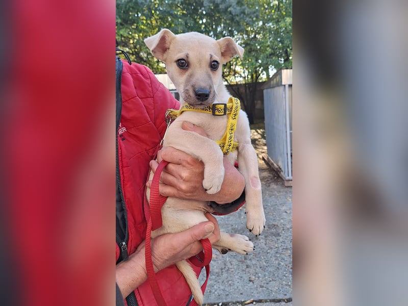 Paolo steckt voller Lebensfreude !