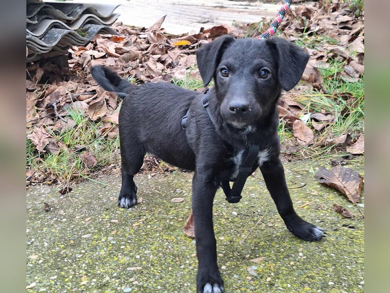 Die liebe Yoko ist voller Lebensfreude !