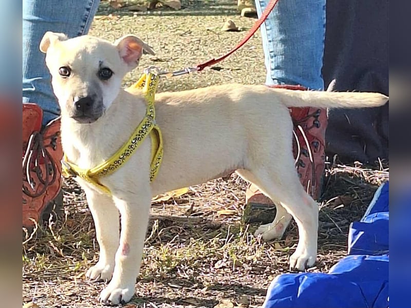 Paolo steckt voller Lebensfreude !