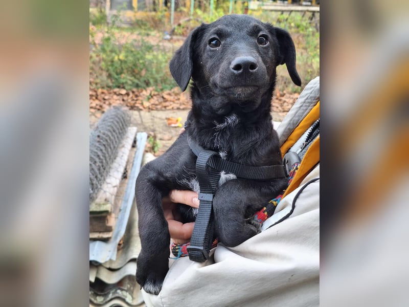 Die liebe Yoko ist voller Lebensfreude !