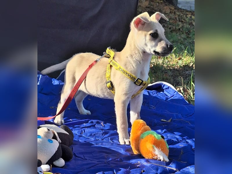 Paolo steckt voller Lebensfreude !