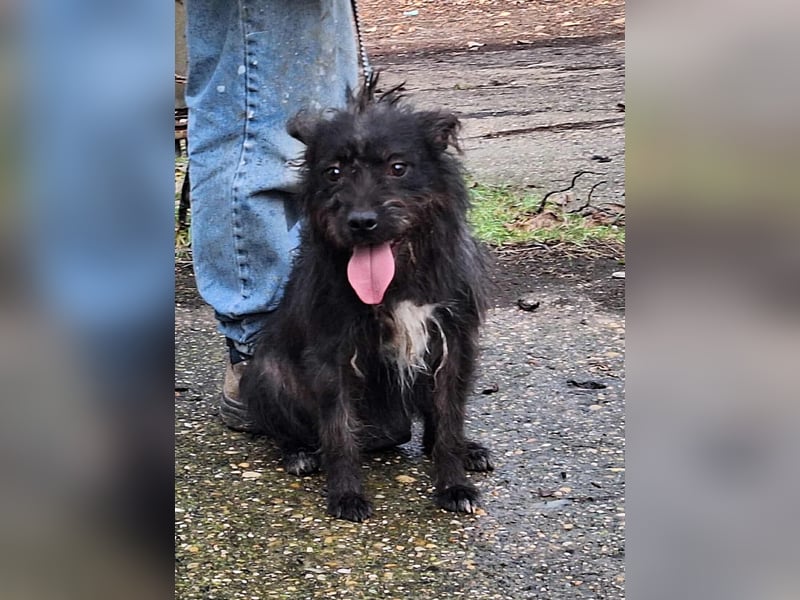 Diablo ist ein liebes, fröhliches Kerlchen !