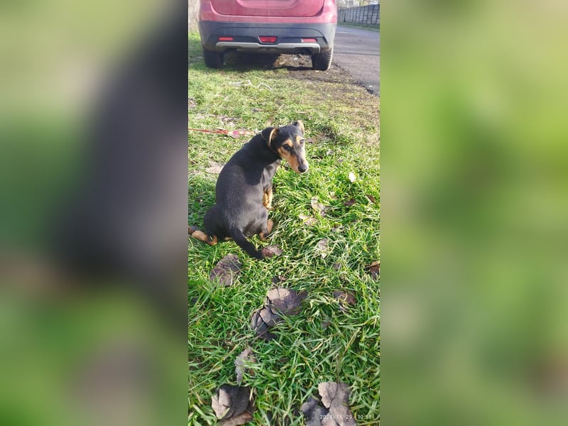 Die sportliche Gloria sucht ihre Menschen !