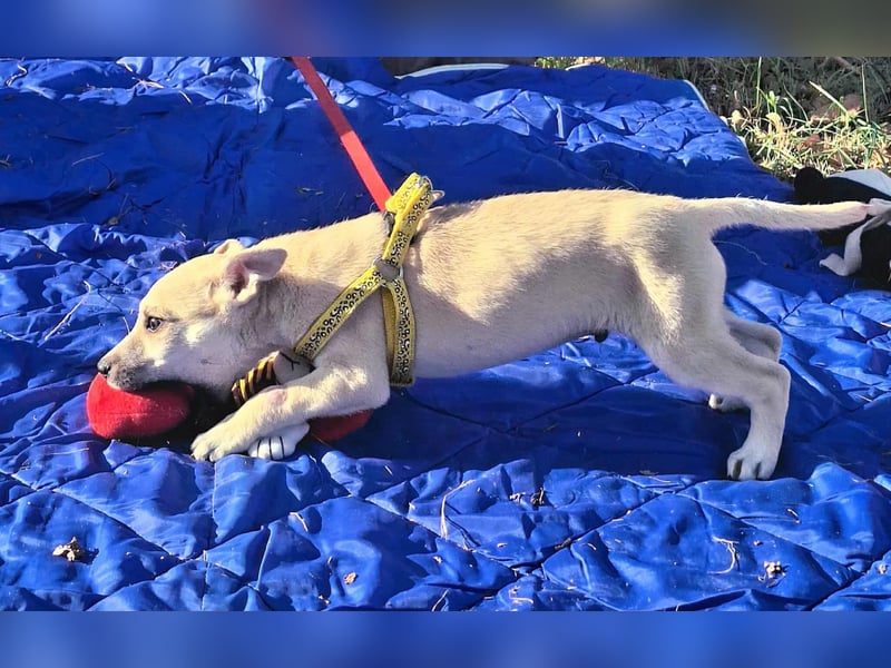 Paolo steckt voller Lebensfreude !