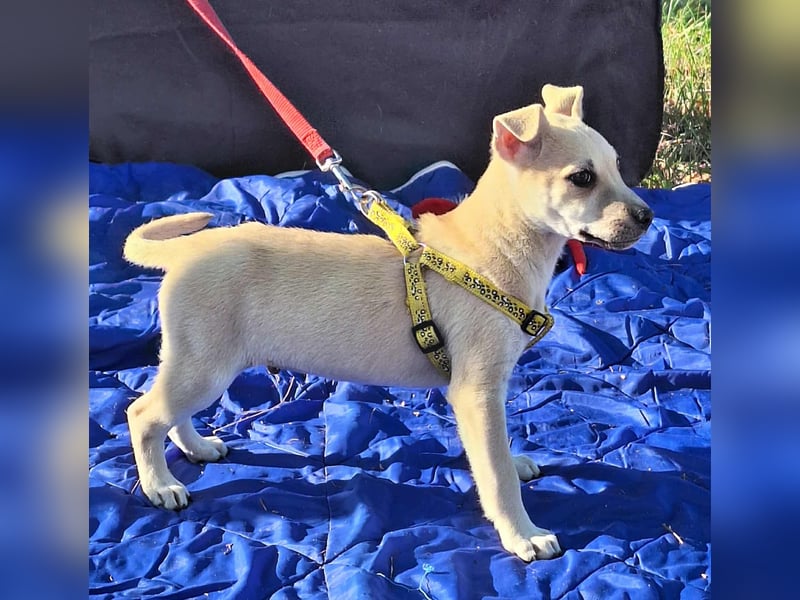 Paolo steckt voller Lebensfreude !