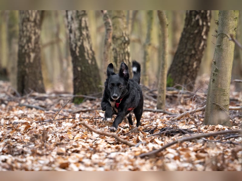 Riley wartet in Dortmund