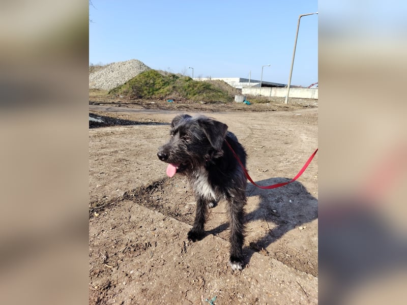 Der liebe Fernando sucht seine Familie !