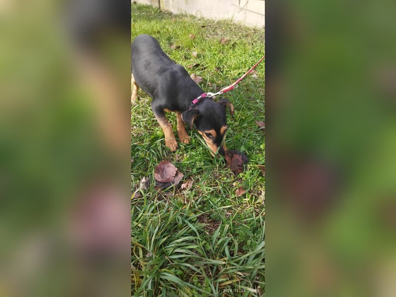 Die sportliche Gloria sucht ihre Menschen !