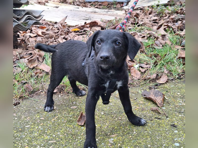 Die liebe Yoko ist voller Lebensfreude !