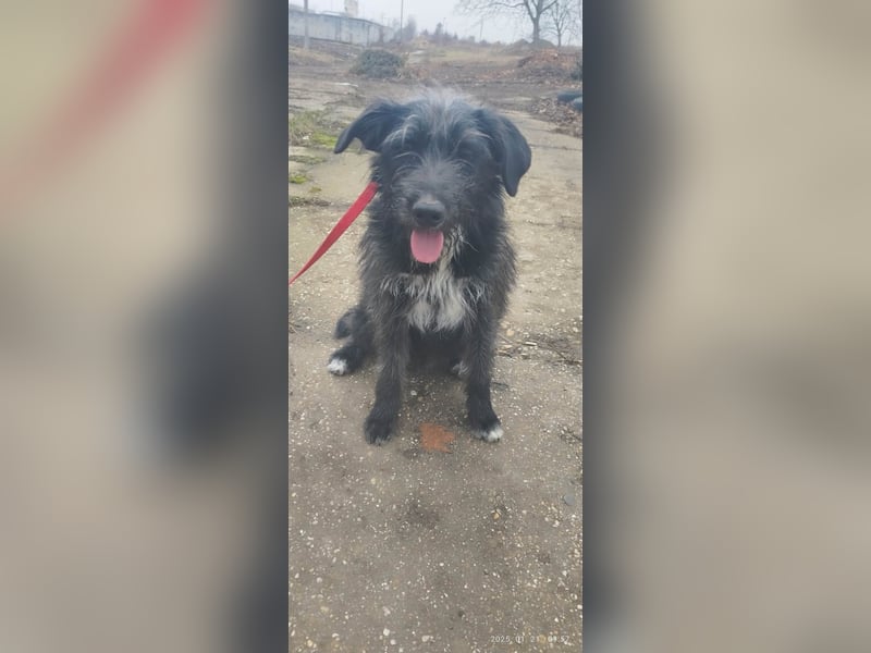 Der liebe Fernando sucht seine Familie !