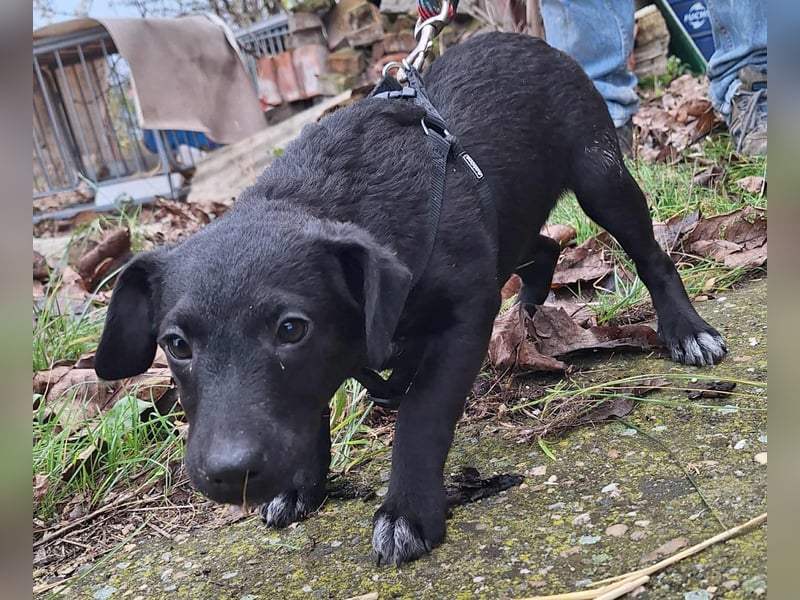 Die liebe Yoko ist voller Lebensfreude !