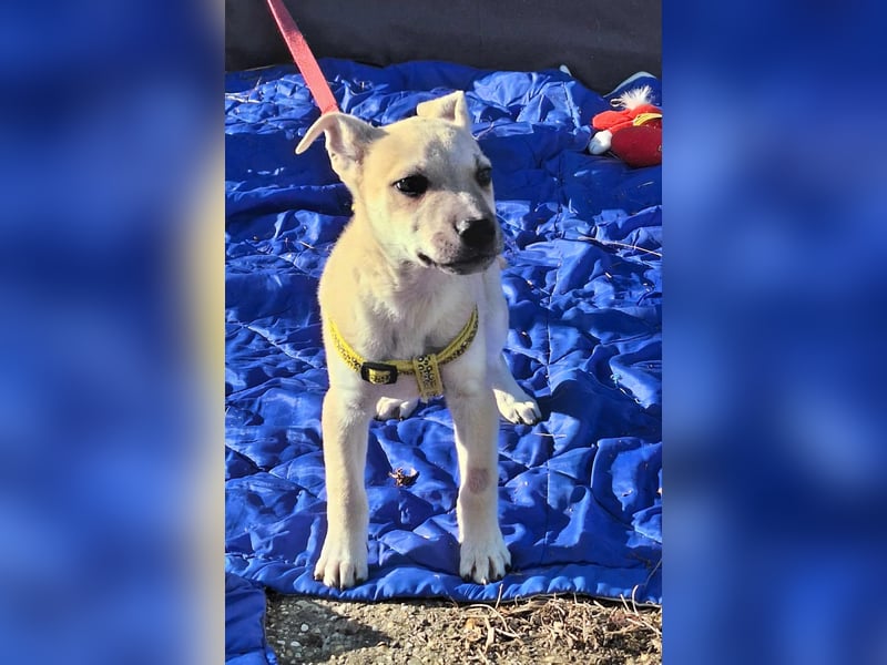 Paolo steckt voller Lebensfreude !