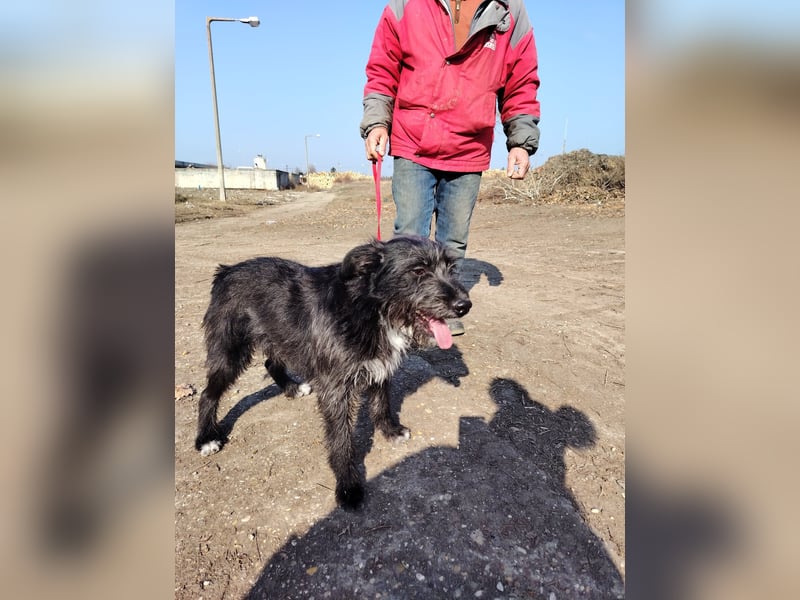 Der liebe Fernando sucht seine Familie !